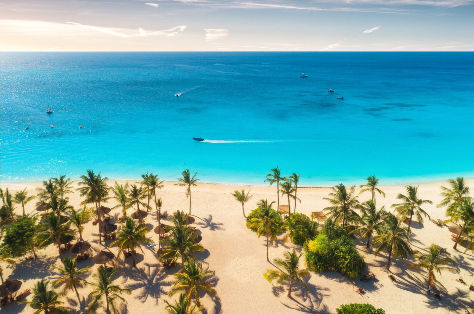 Aerial view of palms on the sandy beach of Indian Ocean at sunset. Summer holiday in Zanzibar, Africa. Tropical landscape with green palm trees, sand, blue water, colorful sky. Top view of sea coast