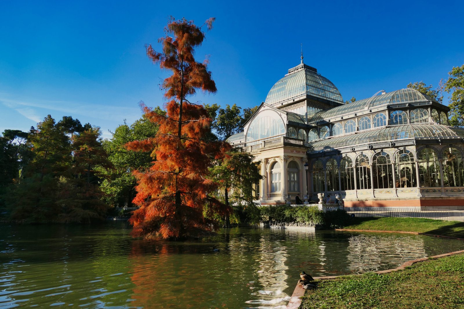 The Palacio de Cristal ("Glass Palace") is a conservatory located in Madrid's Buen Retiro Park